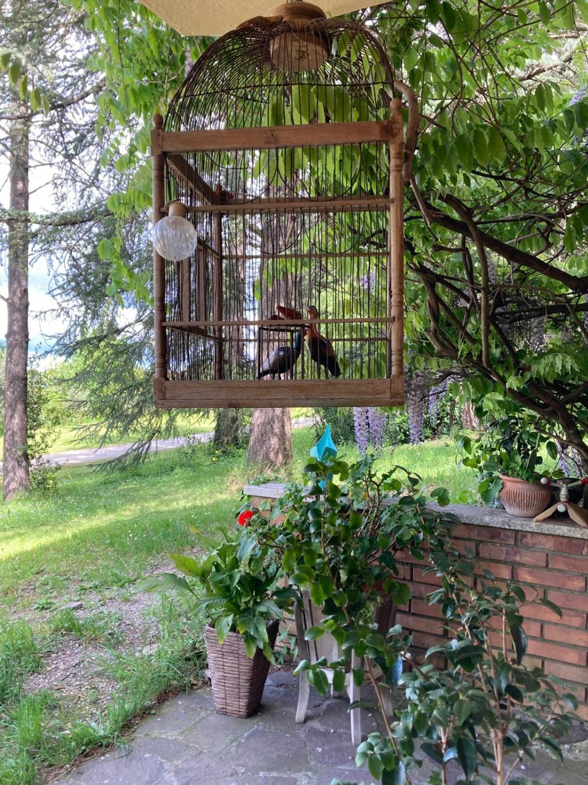 B&B Mama Ro Cesena Exteriör bild