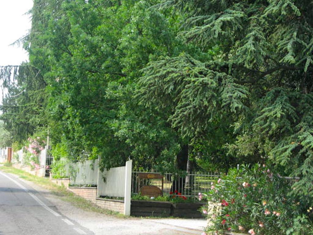 B&B Mama Ro Cesena Exteriör bild